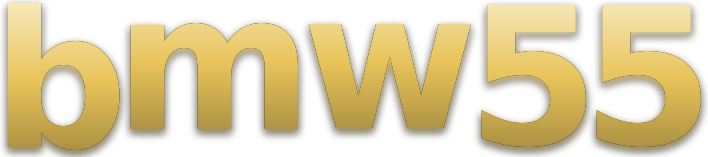 bmw55 logo